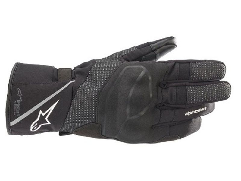 Alpinestars Andes V3 Drystar Motorcycle GlovesMen (black / white)