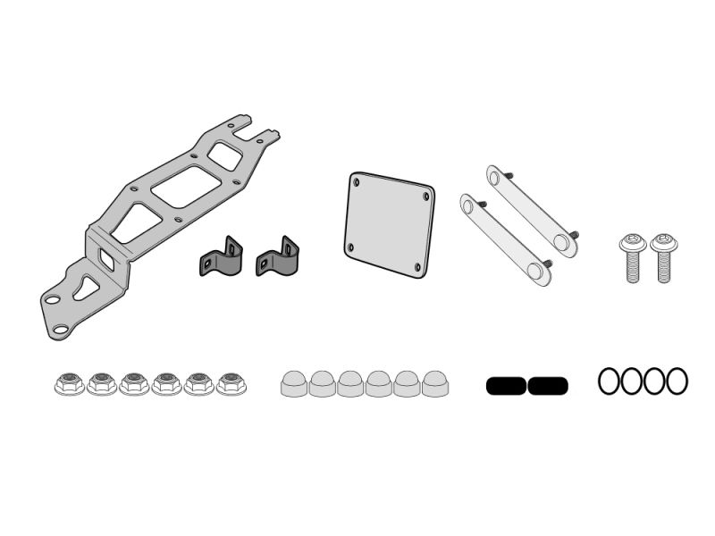GIVI Montagesatz S250 an Original Kofferträger BMW R1200GS Adventure (2006-2013)